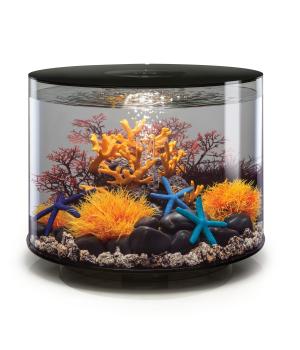 biOrb Aquarium TUBE 35 MCR schwarz